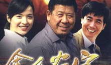 电视剧金色农家,田园牧歌中的奋斗传奇