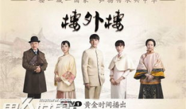 楼外楼电视剧,风云际会，传奇人生